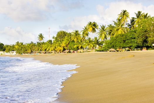 Turtle Beach, Tobago