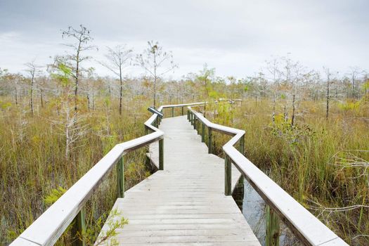 Everglades National Park, Florida, USA