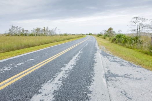 road in Everglades National Park, Florida, USA