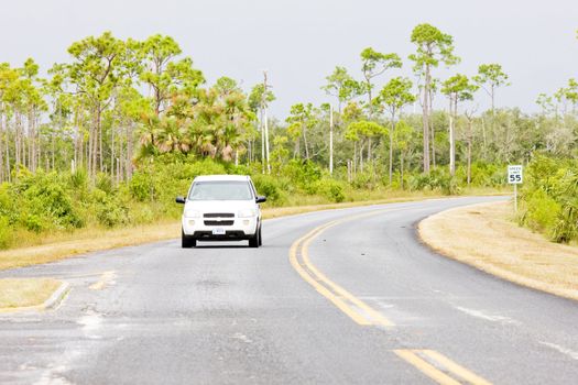 road in Everglades National Park, Florida, USA