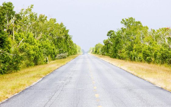 road in Everglades National Park, Florida, USA