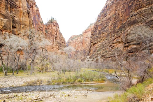 Zion National Park, Utah, USA