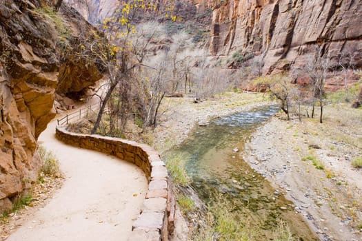 Zion National Park, Utah, USA