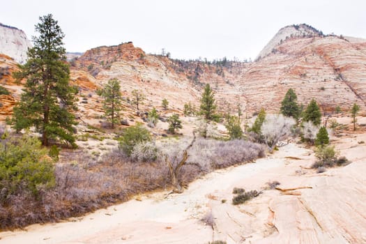 landscape of Utah, USA