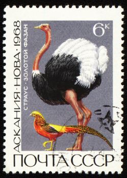 USSR - CIRCA 1968: stamp printed in the USSR, shows ostrich and golden pheasant, series "Askania Nova Reserve", circa 1968