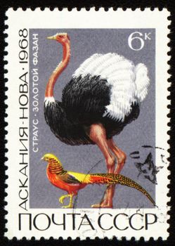 USSR - CIRCA 1968: stamp printed in the USSR, shows ostrich and golden pheasant, series "Askania Nova Reserve", circa 1968