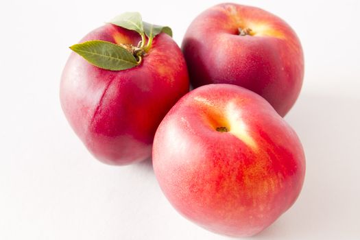 nectarine on white background shot in a studio