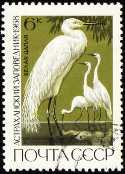 USSR - CIRCA 1968: stamp printed in the USSR shows egret, series "Astrakhan Reserve", circa 1968