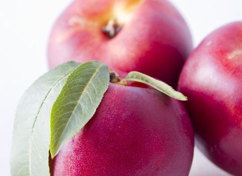 nectarine on white background shot in a studio