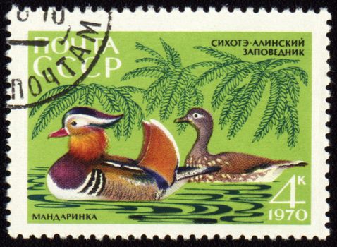 USSR - CIRCA 1970: post stamp printed in USSR shows Mandarin ducks, series Animals from Sikhote-Alin Reserve, circa 1970