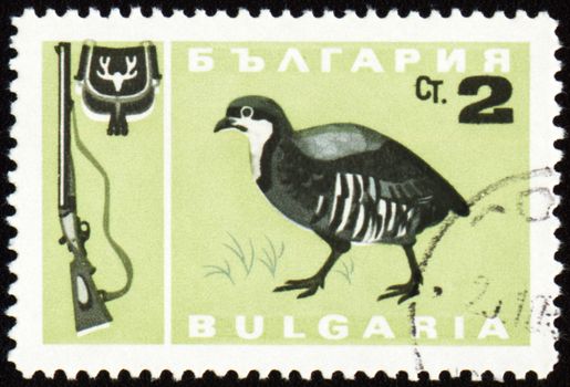 BULGARIA - CIRCA 1967: stamp printed in Bulgaria shows fowl bird, series, circa 1967