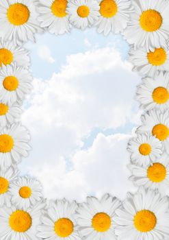 Floral Frame - Oxeye Daisies Flowers on Sunny Sky Background