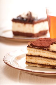 Portion of self-made tiramisu dessert served on a plate