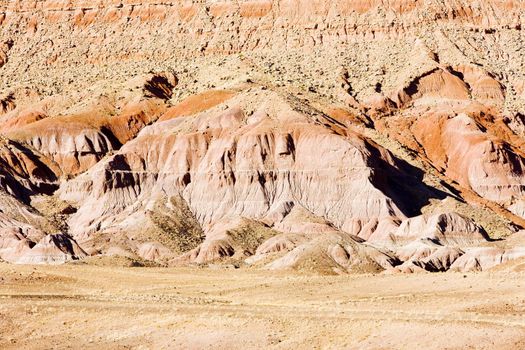 landscape of Arizona, USA