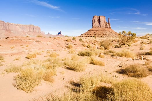 The Mitten, Monument Valley National Park, Utah-Arizona, USA