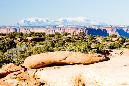 Canyonlands National Park, Utah, USA
