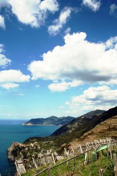 Cinqueterre, sea landscape panromaic view over the vineyard.