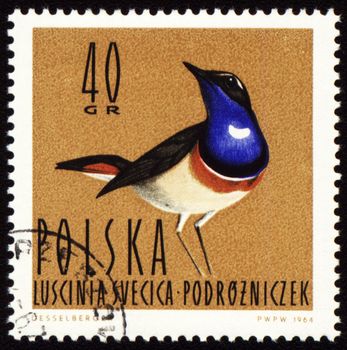 POLAND - CIRCA 1964: stamp printed in Poland, shows Bluethroat, series, circa 1964