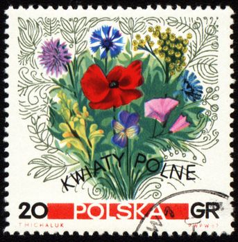POLAND - CIRCA 1967: stamp printed in Poland, shows a bouquet of wildflowers, circa 1967