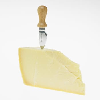 parmesan cheese