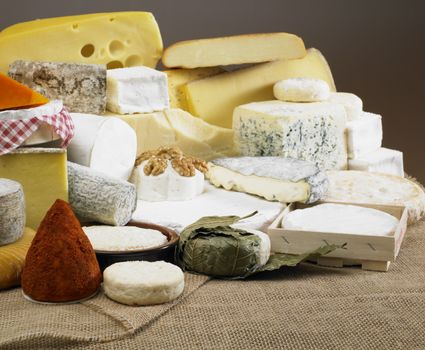 cheese still life