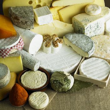 cheese still life