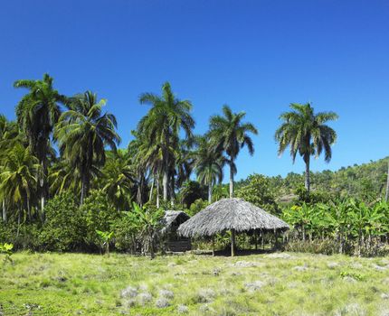 Parque Nacional Alejadro de Humboldt, Guant�namo Province, Cuba