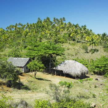 Parque Nacional Alejadro de Humboldt, Guant�namo Province, Cuba