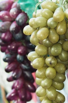 Fresh grapes - two colours mixed