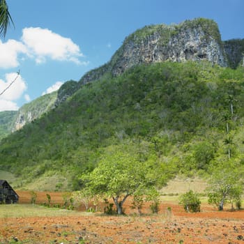 Vinales Valley, Pinar del Rio Province, Cuba