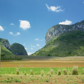 Vinales Valley, Pinar del Rio Province, Cuba