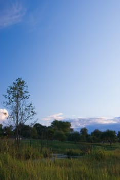 summer landscape with stream and blue sky