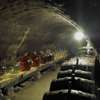 wine cellar, Bily sklep rodiny Adamkovy, Chvalovice, Czech Republic