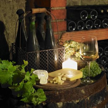 still life in wine cellar, Bily sklep rodiny Adamkovy, Chvalovice, Czech Republic