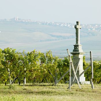 cross with vineyard, Southern Moravia, Czech Republic