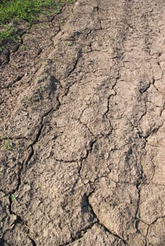 
dried climate, fissured cracked earth and sand