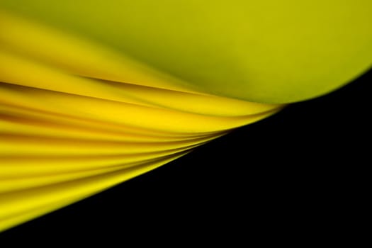 Twisted yellow A4 paper illuminated by lights with black background