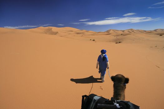 Vast dune landscape;  sandy  desert camel adventure with a bedouin guide.