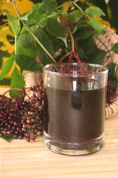 Elderberry juice with elder berries on a branch with leaves