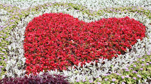 Heart on flower bed