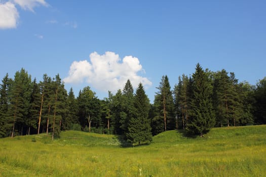 Russian rural landscape