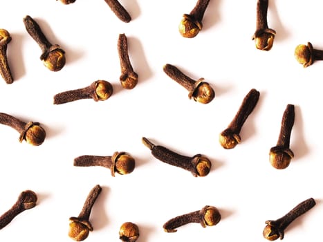 close up of cloves on white