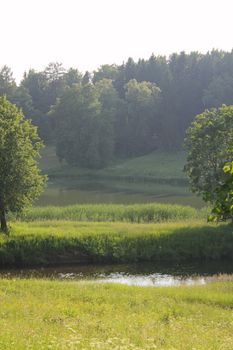 Landscape with forest and river in mist