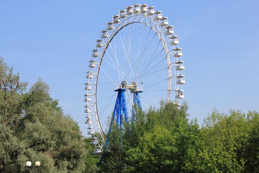 Ferris wheel in summer park
