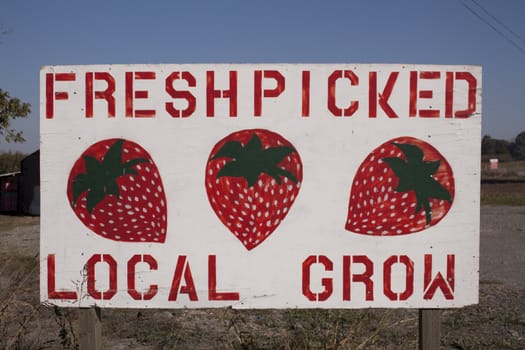 Fresh picked local grown strawberry sign