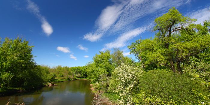 Beautiful blue skies on a spring day along the Kishwaukee River of Illinois.