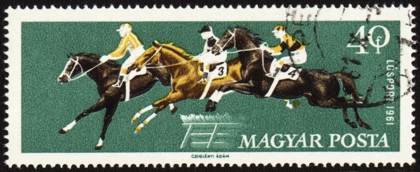 HUNGARY - CIRCA 1961: A stamp printed in Hungary shows horse jumping show, circa 1961