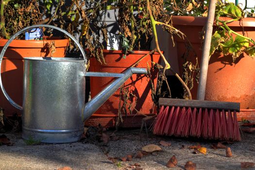 garden still life with tomatoe plants, ewer and broom in late summer