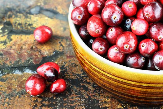 Freshly washed whole cranberries against a rustic background with selective focus. 