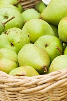 rich harvest. two baskets with plenty of pear